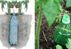 Comment Fabriquer un Arrosage Automatique Pour Tomates Avec une Bouteille