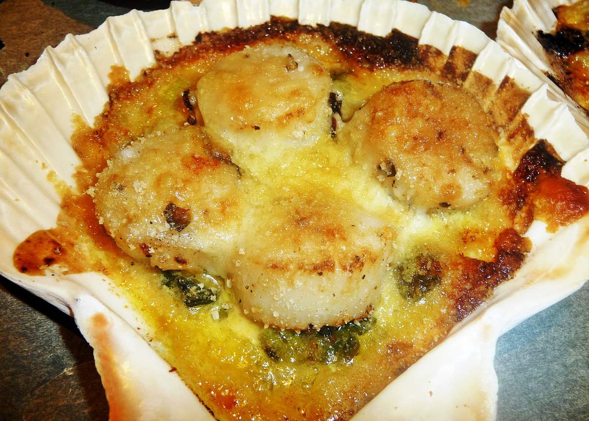 Coquilles St Jacques Gratinées - Cuisine Momix