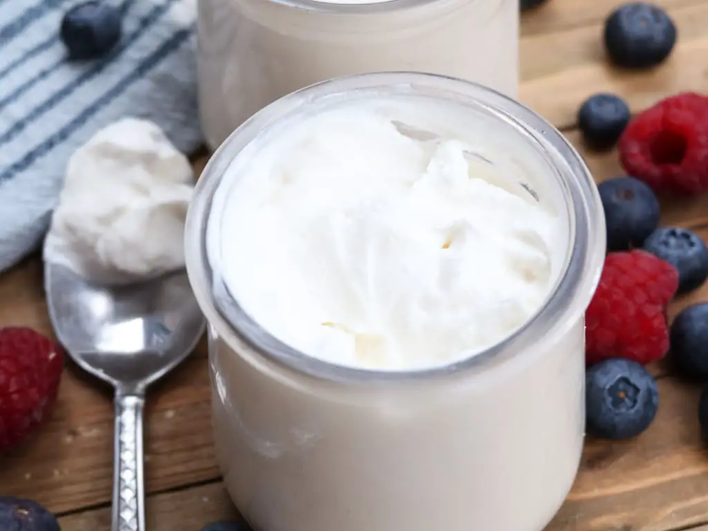 Yaourt des neiges au Thermomix Cuisine Momix