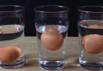 5 façons de reconnaitre si un oeuf est frais ou pourri