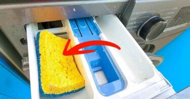 Déposez une éponge à vaisselle dans le bac du lave-linge : c’est la solution efficace à un problème courant