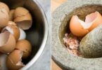 11 utilisations ingénieuses des coquilles d’œufs pour la maison et le jardin
