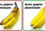 15 astuces pour gardez longtemps vos fruits et vos légumes frais