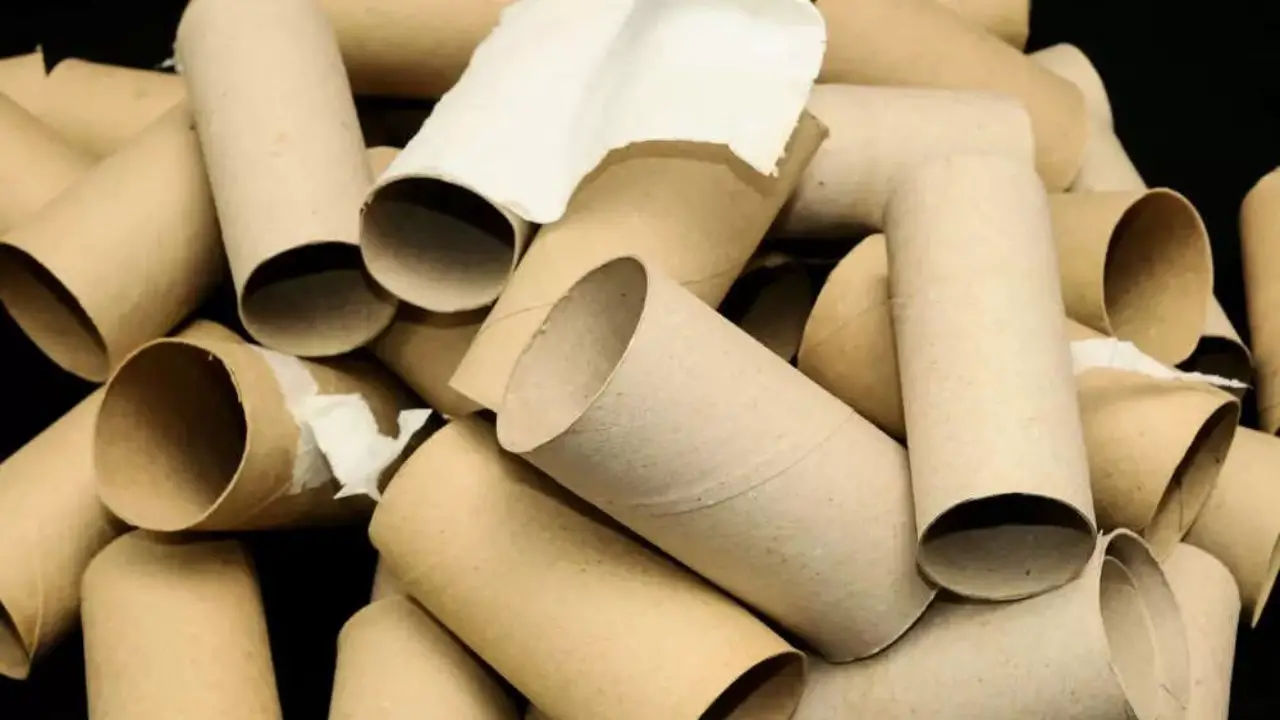 Arrêtez de jeter les rouleaux de papier toilette ! Voici 9 façons de les réutiliser dans la