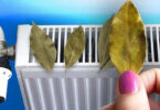 Comment les feuilles de laurier sur votre radiateur peuvent vous aider à économiser de l’argent cet hiver ?