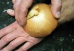 8 manières d’utiliser l’oignon à la maison
