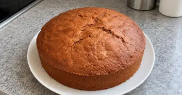 Gâteau à la Danette au chocolat, facile et ultra moelleux