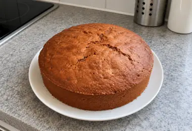 Gâteau à la Danette au chocolat, facile et ultra moelleux